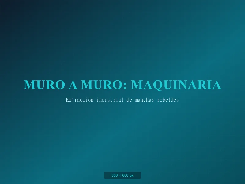 Maquinaria de extracción para alfombra muro a muro