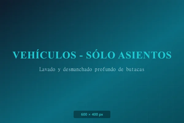 Limpieza de Vehículos - Sólo Asientos