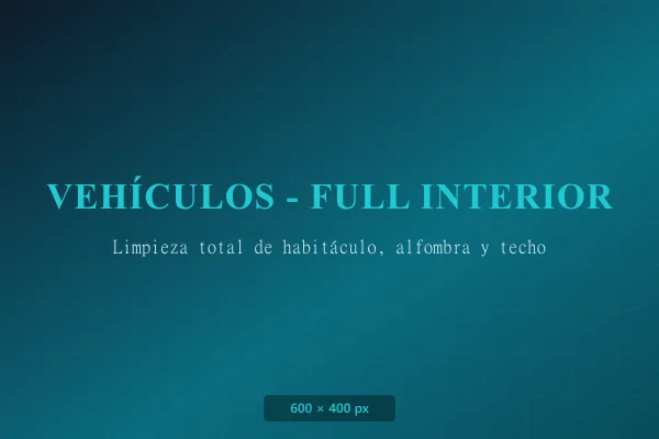 Limpieza profunda interior de vehículos